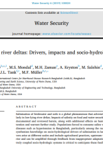 Salinization in large river deltas: Drivers, impacts and socio-hydrological feedbacks