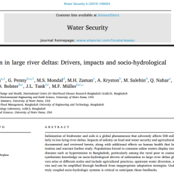 Salinization in large river deltas: Drivers, impacts and socio-hydrological feedbacks